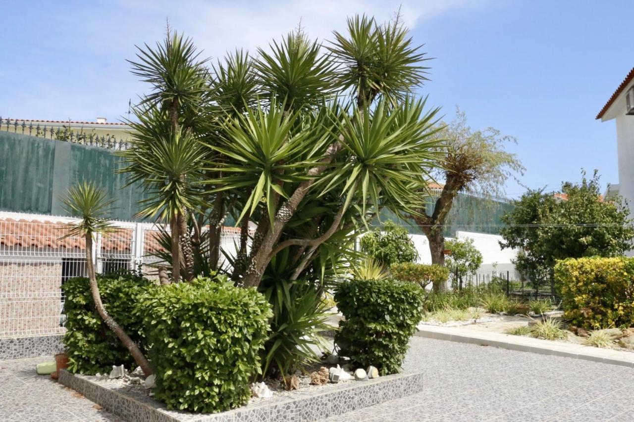Bed and Breakfast Casa Teresinha Sesimbra Esterno foto